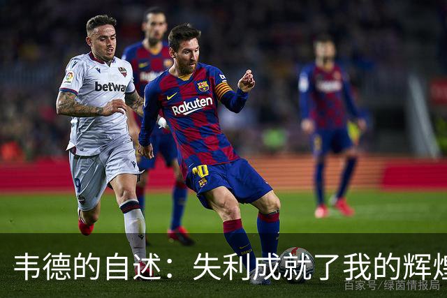 韦德的自述：失利成就了我的辉煌连冠之路